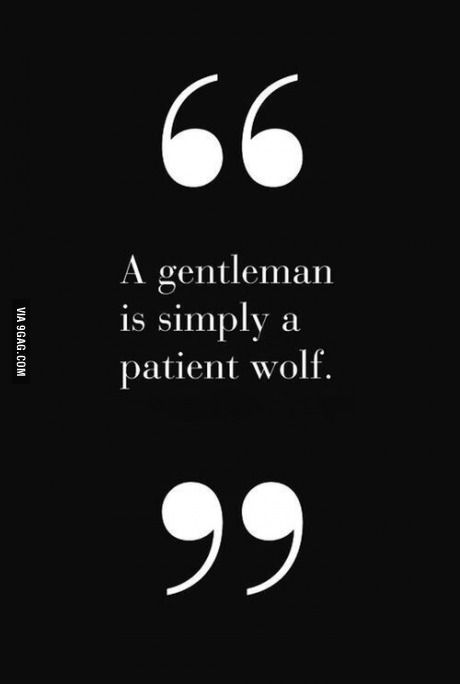 For all those who ladies who love the gentlemen.... Lol i thought about and its true... To a point... Gentlemens Guide, Der Gentleman, Gentleman Quotes, Wolf Quotes, A Quote, Inspire Me, A Black, Wise Words, Favorite Quotes