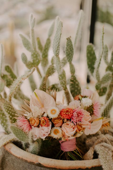 Intimate Joshua Tree Wedding in a Bohemian Airbnb — Brianna Broyles Joshua Tree Theme Party, Bohemian Airbnb, Spring Desert Wedding, Desert Wedding Decor, Showcase Ideas, Desert Spring, Shower 2023, Desert Bride, Joshua Trees