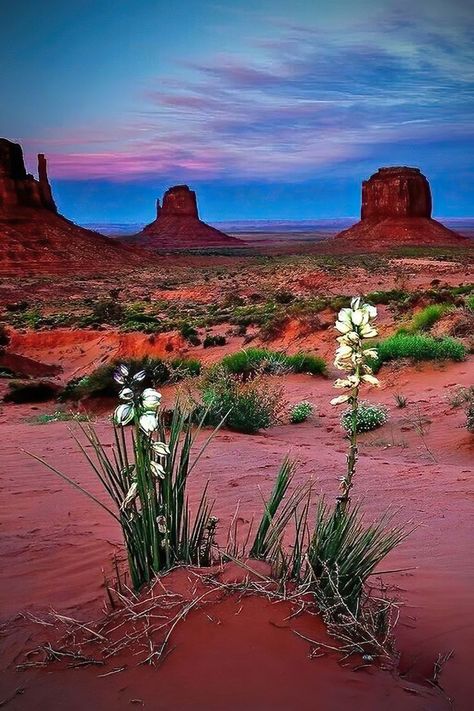 Monument Valley Utah, Desert Aesthetic, Divine Nature, Have Inspiration, Red Rocks, Rock Formations, Alam Yang Indah, Desert Landscaping, Landscape Photos