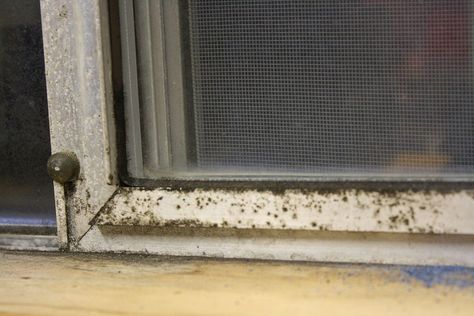 I moved into an old mobile home with nasty aluminum window frames and I had no clue what to do about them. I was digging around in my laundry room when I ran ac… Repurposed Shutters, Open Closets, Sparkle Floor, How To Clean Aluminum, Metal Window Frames, Aluminum Windows, Closet Solutions, Hardwood Floor Cleaner, Cleaning Painted Walls