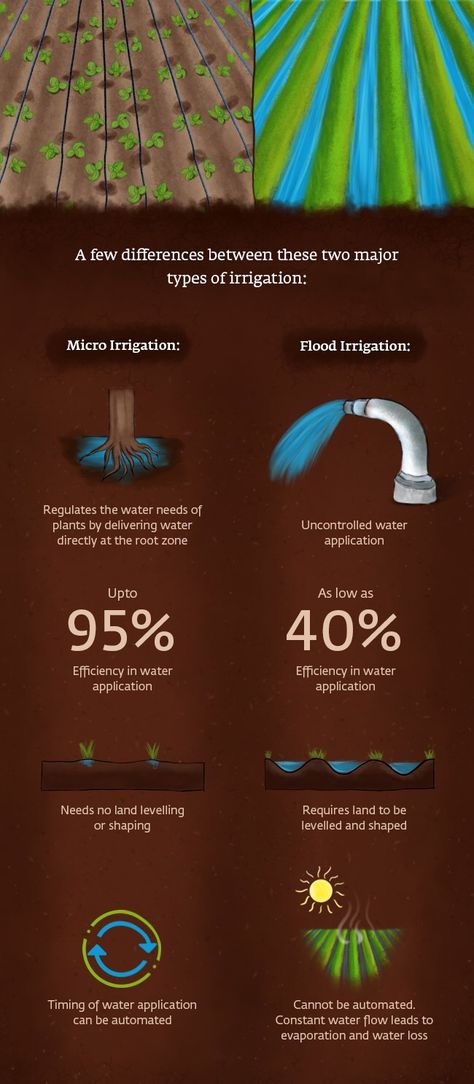 Why Micro-Irrigation Is Better Than Flood Irrigation Underground Irrigation, Agriculture In India, Ancient Irrigation, Water Irrigation System, Irrigation Methods, Farming Technology, Water Irrigation, Irrigation Systems, Future Garden