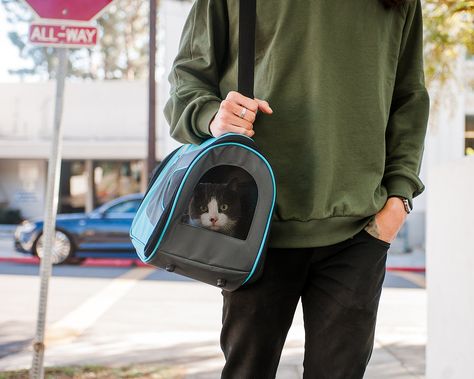 Airline Approved Pet Carrier, Small Pet Carrier, Cat Travel Carrier, Airline Pet Carrier, Cat Carrier Bag, Pet Travel Carrier, Pet Travel Bag, Dog Travel Bag, Pet Carrier Bag