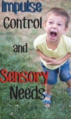 Flight Response, Sensory Seeker, Sensory Disorder, Big Emotions, Kids Fever, Sensory Diet, Impulse Control, Processing Disorder, Sensory Integration