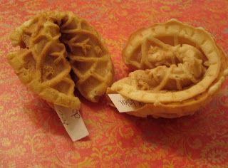 Pizelle Recipe, Homemade Fortune Cookies, Pizzelle Maker, Pizzelle Cookies, Pizzelle Recipe, Fortune Cookies, Italian Cookies, Fortune Cookie, Italian Desserts