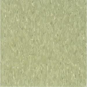 Armstrong Imperial Texture VCT 12 in. x12 in. Little Green Apple Standard Excelon Commercial Vinyl Tile (45 sq. ft. / case) 51866031 at The Home Depot - Mobile Vct Flooring, Vct Tile, Armstrong Flooring, Apple Chips, Vinyl Tile Flooring, Resilient Flooring, Floor Ideas, Green Flooring, Vinyl Tiles