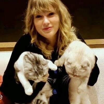 Taylor Swift, Swift, A Woman, Kittens, On Twitter, Twitter