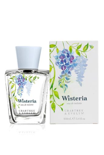 Crabtree and Evelyn - Wisteria EDT Blue Wisteria, Crabtree And Evelyn, Book Perfume, Pretty Perfume Bottles, Crabtree & Evelyn, Natural Branding, Perfume Design, Fine Linens, Favorite Scents