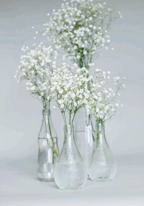 Eucalyptus And Babysbreath Wedding, Babies Breath Bud Vases Wedding, Simple Babysbreath Centerpieces, Baby’s Breathe Centerpieces, Baby's Breath Bud Vase, Diy Babybreath Centerpiece, Babysbreath Centerpieces Long Table, Babies Breath Arrangements, Bud Vases Baby Breath