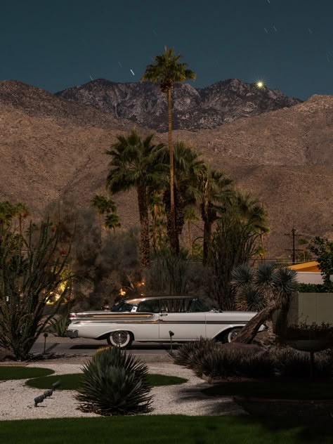 Modernism Week Palm Springs, Palm Springs Houses, San Myshuno, Istoria Artei, Modernist House, Australian Photographers, Coachella Valley, Foto Ideas Instagram, The Design Files