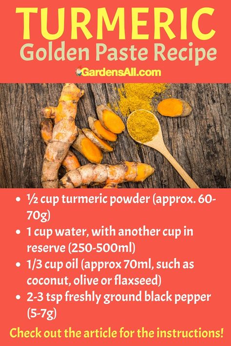 To make the turmeric Golden Paste, you need three things. #Turmeric #TurmericBenefits #MedicinalHerbs #TurmericPowder #GoldenPaste #NaturalRemedies #Recipes Golden Paste Recipe, Medicinal Gardening, Tea Tips, Golden Paste, Tomato Growing, Turmeric Paste, Photography List, Recipes List, Diy Container Gardening