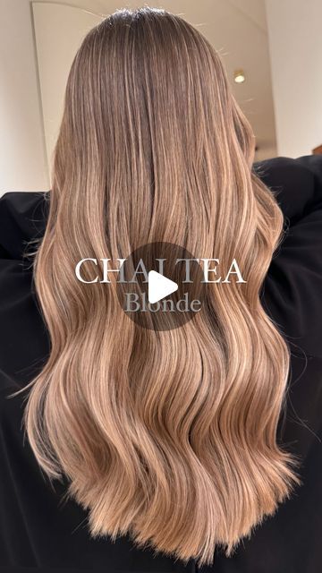 Coffee Beige Hair, Tea Blonde Hair, Chai Tea Hair Color, Milk Tea Blonde Hair, Vanilla Chai, Beige Blonde, Chai Tea, Ash Blonde, Milk Tea