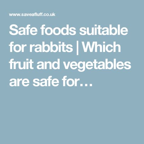 Safe foods suitable for rabbits | Which fruit and vegetables are safe for… Rabbit Shed, Diy Rabbit Hutch, Meat Rabbits, Jelly Beans Easter, Herbs Plants, Bunny Room, Raising Rabbits, Rabbit Garden, Bunny Care