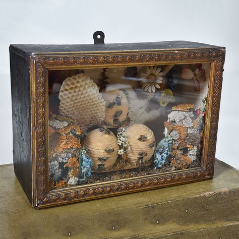 Victorian Taxidermy scene with Bees Width: 10" / 26 cm Depth: 4.5" / 12 cm Height: 7" / 18 cm Taxidermy Art Weird, Bee Taxidermy, Witchy Dollhouse, Antique Taxidermy, Victorian Taxidermy, Taxidermy Decor, Goth Cottagecore, Antique Oak Furniture, Butterfly Taxidermy