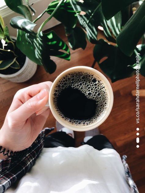 Coffee And Plants Aesthetic, Meditation Moodboard, Plants And Coffee, Wall Hanging Plants, Morning Coffee Photography, Counter Culture Coffee, Coffee Plants, Hanging Light Bulbs, Pretty Coffee