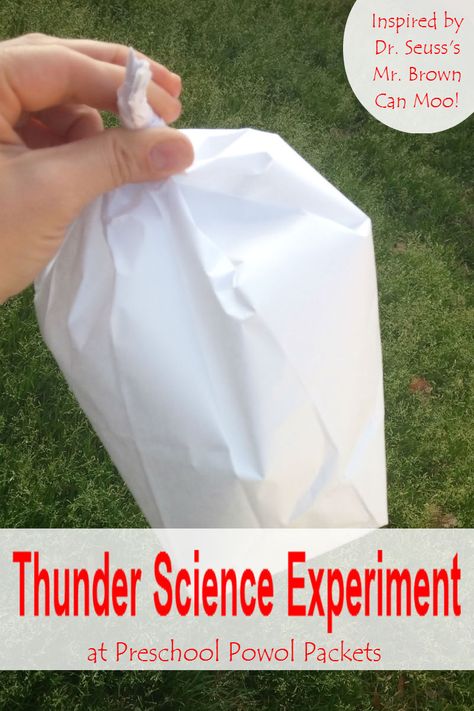 Here is a quick inspired-by-Dr. Seuss thunder science experiment! Perfect for preschool, kindergarten, and even older kids--who can make the best thunder?! Weather Lesson Plans, Weather Experiments, Weather Activities Preschool, Weather Activities For Kids, Weather Lessons, Preschool Weather, Weather Crafts, Weather Science, Weather Projects