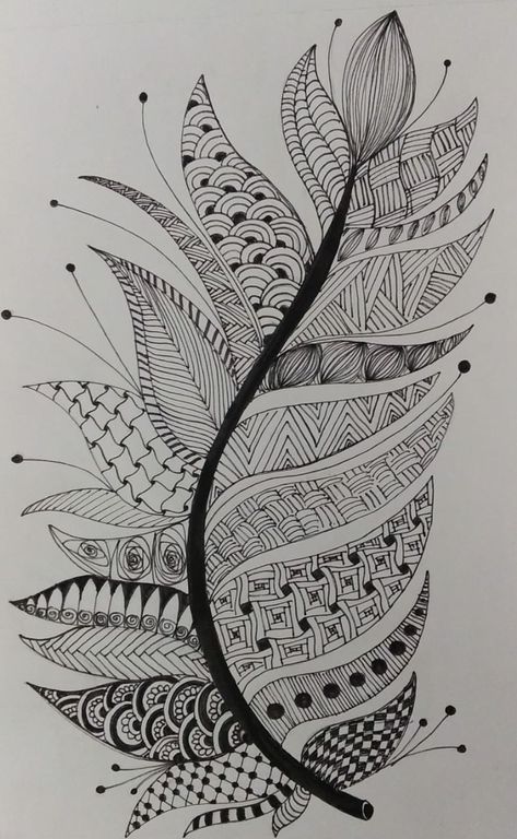 Saanvi Goyal - zentangled feather Zentangle Feathers Step By Step, Zentangle Patterns Artwork, Zentangle Drawings Beautiful, Zentangle Drawings Ideas, Feathers Artwork, Unique Zentangle Drawings, Zentangle Art Ideas, Feather Doodle, Feather Zentangle