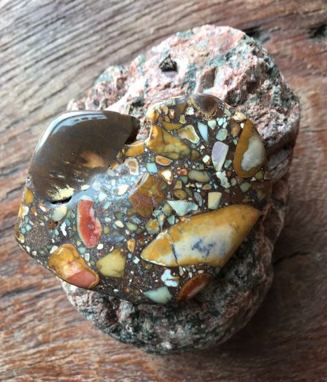 Pudding Stone, Rock Identification, Rock Hunting, Rocks And Fossils, Geology Rocks, Cool Rocks, Rock Collection, Rock Hounding, Minerals And Gemstones