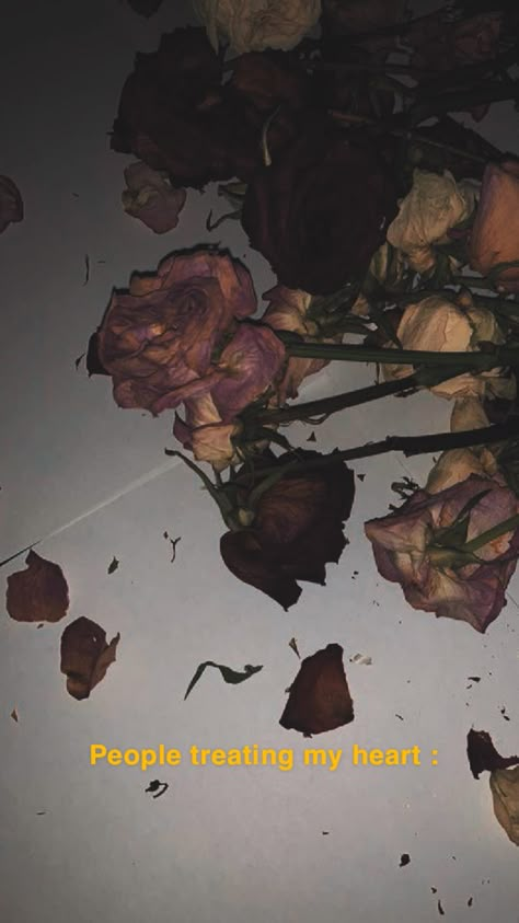 Night Broken Snap, Flower Snap Streaks, Flower Snaps Snapchat, Rose Day Snapchat, Roses Snapchat Stories, Dry Rose Snapchat Story, Broken Snap, Memory Illustration, Broken Rose