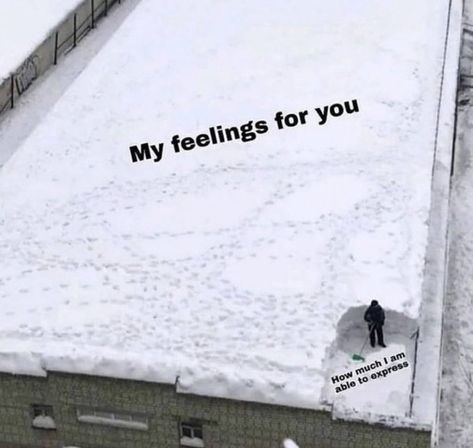 My Feelings For You, Inappropriate Thoughts, Expectation Vs Reality, Anything For You, Healthy Marriage, My Feelings, I Love My Girlfriend, Relationship Memes, Marriage And Family