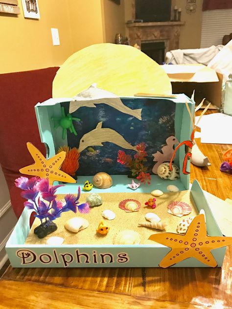 Dolphin diorama project Dolphin Habitat Project For Kids, Dolphin Habitat Diorama, Ocean Habitat Diorama School Projects, Dolphin Projects For Kids, Dolphin Science Project, Dolphin Diorama Projects For Kids, Dolphin Diorama, Dolphin Project, Ocean Diagram