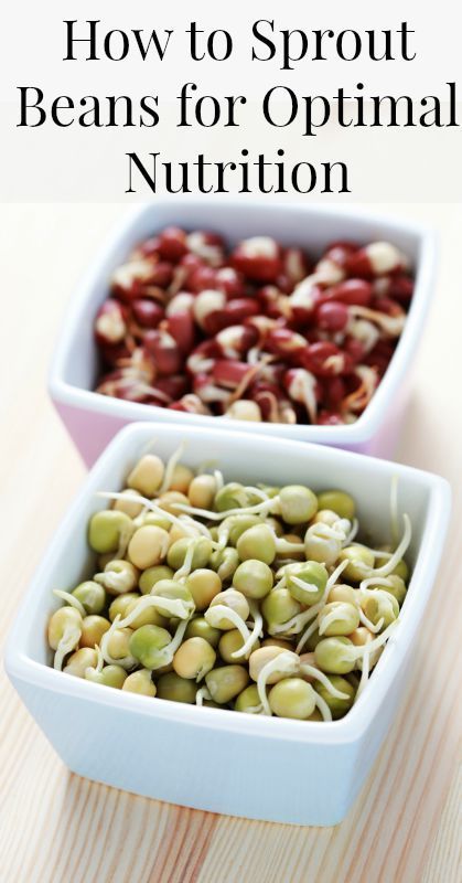 How to Sprout Beans at Home {Real Food, Sprouting Beans, Nutrition, Healthy Eating, Healthy Living, Sprouted Food, Kitchen Tips} How To Sprout Beans, Sprouting Beans, Microgreens Recipe, Growing Sprouts, Sprouted Grains, Sprout Recipes, Bean Sprouts, Kitchen Tips, Healthy Nutrition