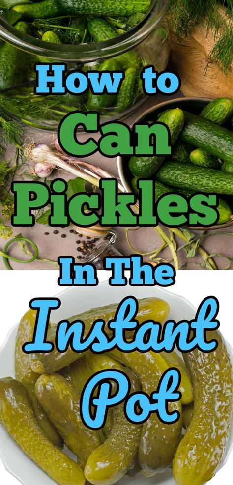 How To Can Pickles in the Instant Pot Instant Pot Pickles, Pressure Canning Pickles, How To Can Pickles, Canning With Instant Pot, Instant Pot Canning, Electric Pressure Canner, Canning Pickles Recipe, Garlic Monkey Bread, Pressure Cooker Xl