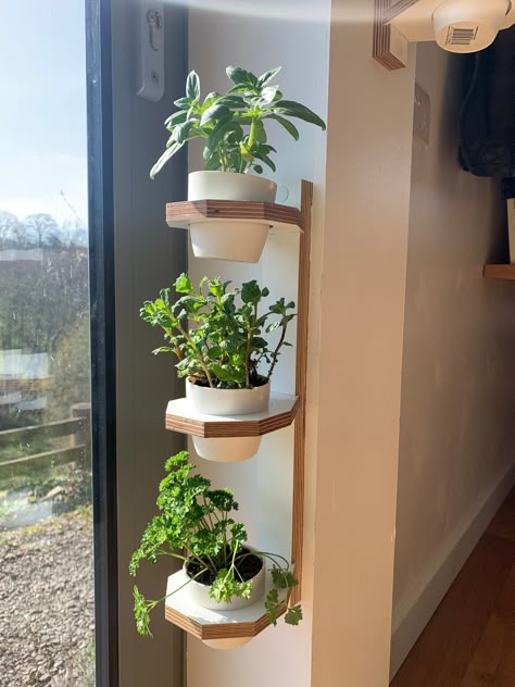 Living Wall Art, Window Planters, Vertical Planter, Garden Frame, Indoor Herb Garden, Plant Decor Indoor, Outdoor Garden Decor, Small Succulents, House Plants Decor