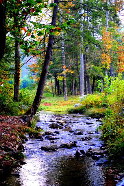 Tennessee Landscape, Land Scapes, Forest Sunset, Earth Surface, Scenery Pictures, Autumn Scenes, Autumn Scenery, Appalachian Trail, Beautiful Places To Visit