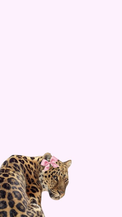 Pink Leopard Wallpaper Iphone, Pink Cheetah Wallpaper, Pink Leopard Wallpaper, Pink Ribbon Wallpaper, Glamour Wallpaper, فنسنت فان جوخ, Cheetah Wallpaper, Leopard Print Wallpaper, Cheetah Print Wallpaper