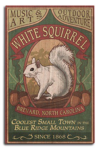 Brevard North Carolina, White Squirrel, Squirrel Art, Wood Postcard, Adventure Art, Retro Travel Poster, Linocut Prints, Hanging Art, Sign Art