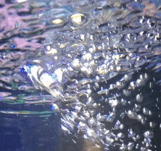 Bubbles from my Grandmas fish tank! My original gifs are totally okay to use with credit! Bubbles Gif, Bubble Fish, Soap Bubbles, Fish Tank, Bubbles, Gif, Soap, Fish, The Originals