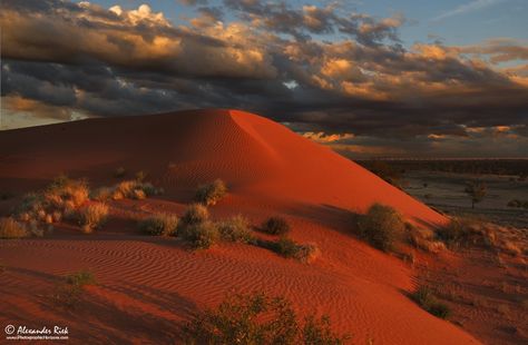 Desert Pictures, Australian Desert, Dead Man Walking, Wilderness Camping, Outback Australia, Desert Storm, Landscape Pictures, Cool Landscapes, Hd Backgrounds