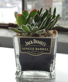 9 Ways To Repurpose Your Jack Daniel's Bottles, Because Showcasing Used Liquor Bottles On Your Shelf Was Only Cute In College Whiskey Bottle Crafts, Empty Liquor Bottles, Alcohol Bottle Crafts, Succulent Holder, Jack Daniels Bottle, Bottle Projects, Liquor Bottle Crafts, Gentleman Jack, Glass Bottle Diy