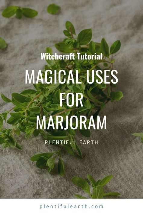 Love Tarot Spread, Medicine Garden, Witch Kitchen, Origanum Majorana, Types Of Love, Magickal Herbs, Healing Relationships, Mediterranean Plants, Kitchen Witchery