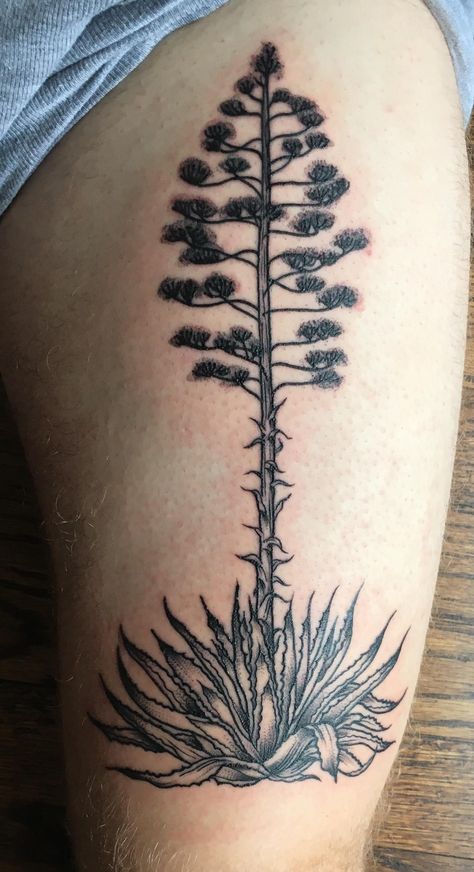 Agave Americana by Dre Li Konēko in Dallas TX Forearm Plant Tattoo Women, Desert Plant Tattoo, Agave Flower Tattoo, Yucca Plant Tattoo, Ocotillo Cactus Tattoo, Agave Tattoo Cactus Flower, Century Plant Tattoo, Agave Plant Tattoo, Saguaro Tattoo