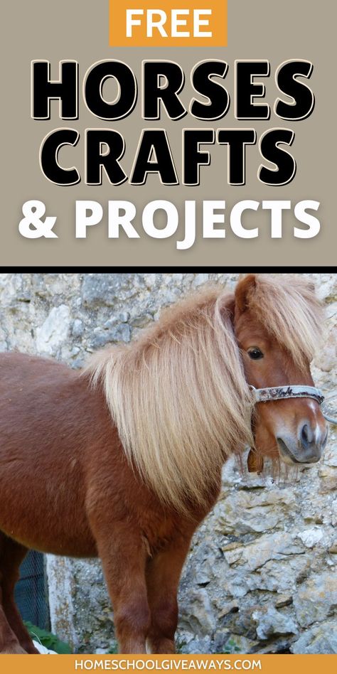 Horse Craft Ideas, Horse Themed Crafts, Horse Crafts Diy, Horse Camp Crafts, Horse Paper Craft, Horse Diy Crafts, Horse Camp Activities, Diy Horse Stuff, Horse Crafts For Kids