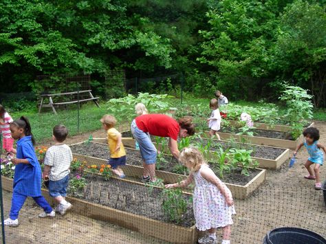 We're lucky parents; the moment spring arrives, our kids are ready and raring to get outside and enjoy the warm sun and the nice weather. Now, they're not Kids Vegetable Garden, Learning Garden, Service Projects For Kids, Community Service Ideas, Community Service Projects, Garden Activities, Growing Gardens, Natural Playground, Spring Family