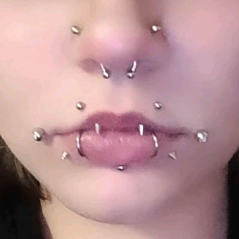 Mouth Piercings Aesthetic, Pearcings Ideas Face, Snakebites And Labret, Labret And Snakebites, Piercing Chart Face, Snakebites And Vertical Labret, Septum And Snakebites, Angelbites Piercing, Persings Face