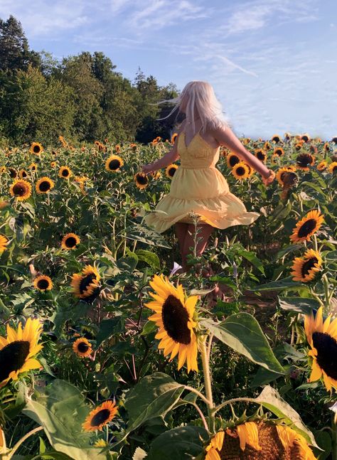 Pink Dress In Sunflower Field, Sunflower Photoshoot Senior Pictures, Sunflower Inspo Pics, Sunflower Picture Poses, Sunflower Field Graduation Pictures, Sunflower Picking Outfit, Senior Sunflower Pictures, Sunflower Festival Photoshoot, Sunflower Field Picture Ideas