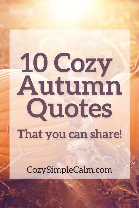 Can't wait for fall? Here are 10 fall quotes and sayings that you can share on Instagram to fill your feed with fall vibes through September, October, and November! Simple Fall Quotes, Pretty Fall Pictures, Candle Sayings Quote, Millenial Quotes, November Sayings, Fall Vibes Quotes, Warmth Quotes, Fall Time Quotes, Snuggling Quotes