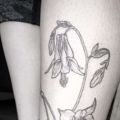 Silver on Instagram: "Delicate Columbine from home 🖤" Columbine Tattoo, Columbine Flower Tattoo, Columbine Flower, Beautiful Body, Flower Tattoos, Flower Tattoo, From Home, Tatting, Body Art