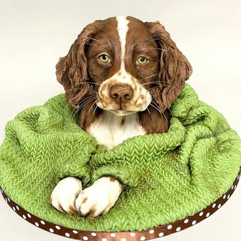 Realistic Cakes, Cake Show, Cake Artist, Sculpted Cakes, Cake Decorating Classes, Bird Cakes, 3d Cakes, Culinary Art, Animal Cakes