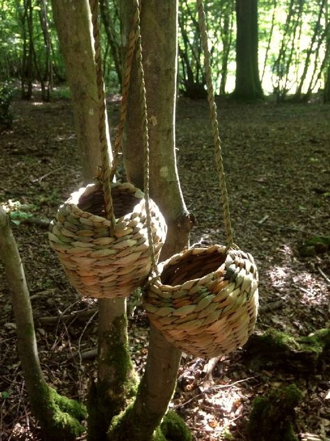 Branch Crafts, Foraging Basket, Rush Baskets, Basket Weaving Diy, Rose Basket, Harvest Basket, Basket Uses, Pinewood Derby, Wood Burner