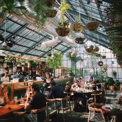 Cute Coffees Shop Ideas For You To Enjoy Your Cuppa - Bored Art Restaurant With Plants, Rustic Coffee Shop, Roof Plants, Greenhouse Cafe, Hippie House, Lots Of Plants, Cute Coffee Shop, Coffee Shop Bar, Interior Vintage