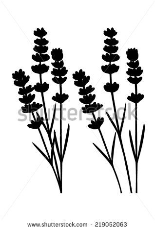 Lavender Silhouette, Lavender Drawing Black And White, Lavender Stencil, Lavender Images, Wild Flower Silhouette, Image Cricut, Lavender Plant Illustration, Lavender Stock, Flower Simple