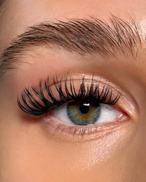 The confidence a wispy set of hybrid lashes gives you is just💅🏽a set of lashes makes you feel the same as being tanned. These are like real lash extensions and will stay on your eyes up to 7 days. Most important they do not damage the natural lashes as our bond. #lashesonfleek #lashesonlashes #volumelashes #lashesonpoint #lashesfordays Lash Individuals, Lashes At Home, Individual Lash Extensions, Classic Lashes, Russian Lashes, Lash Extension Kit, Perfect Eyelashes, Individual Eyelash Extensions, Diy Lash Extensions