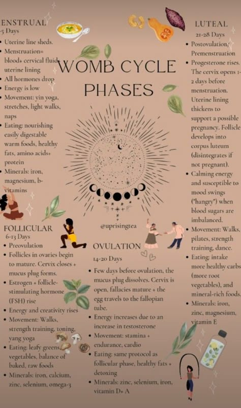 Cycle Phases, Hormone Nutrition, Period Blood, Womb Healing, Healthy Hormones, Skin Tags, Menstrual Health, Feminine Health, Happy Hormones