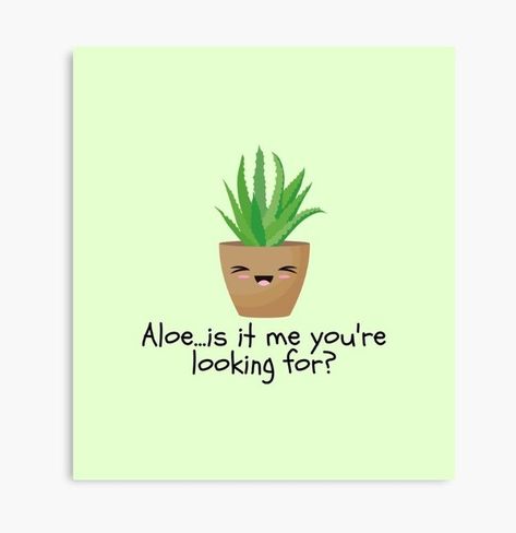 Add some fun to your wardrobe with this ''Aloe...Is It Me You're Looking For?'' esign or give it as the perfect gift!
Aloe vera puns // Cute designs // Kawaii drawing // Musical puns // Tote bags // Canvas print
#redbubble  #redbubbleartist #aloevera #aloepuns #stickers #magnets #totebags #cutedrawing #kawaii #kawaiidrawing #homedecor Puns Cute, Kawaii Drawing, Nature Designs, Stickers Magnets, Kawaii Drawings, Nature Design, Some Fun, Cute Designs, Puns