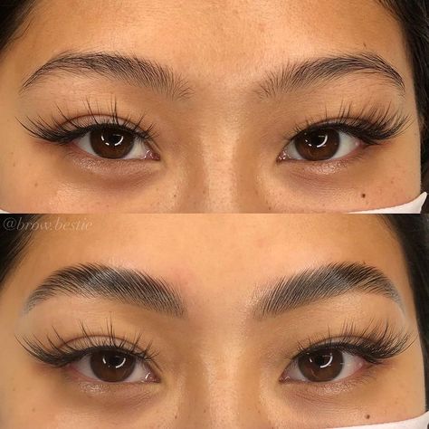 Explore the best eyebrow lamination before and after photos. Look through the best examples of eyebrow lamination done by technicians all over the world and get inspired! #browlamination #eyebrowlamination #browperm #eyebrowperm #eyebrowlaminationbeforeandafter #eyebrowlaminationbeforeafter #browlaminationbeforeandafter #browlaminationbeforeafter #browpermbeforeafter #browpermbeforeandafter #pmuhub Threaded Eyebrows Before And After, Eyebrow Lamination And Tint Before And After, Tinted Brows Before And After, Eyebrow Threading Before And After, Eyebrows Before And After, Eyebrow Lamination Before And After, Eyebrow Tinting Before And After, Eyebrow Lamination And Tint, Natural Brow Lamination