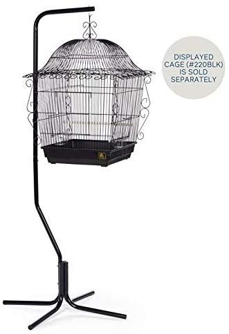 AmazonSmile : Prevue Hendryx Tubular Steel Hanging Bird Cage Stand 1780 Black, 24-Inch by 24-Inch by 60-Inch : Birdcages : Pet Supplies Bird Cage Ideas, Canary Cage, Birds Cage, Bird Cage Stand, Hanging Bird Cage, Black Cage, Plant Hacks, Fruit Photography, Leg Support